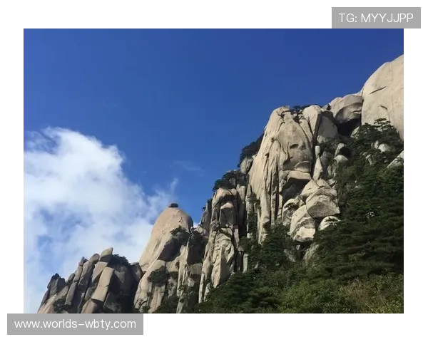 万博manbetx手机版本登陆：详细步骤帮助用户快速完成登录流程