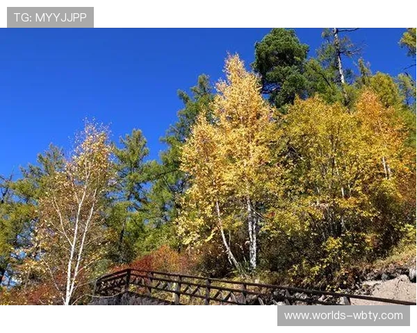 万博娱乐网址在线领取丰富娱乐礼包的最佳入口